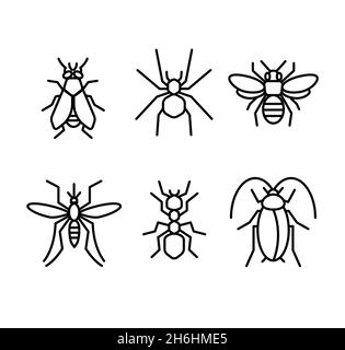 collection of Insect lines icon vector illustration Stock Vector