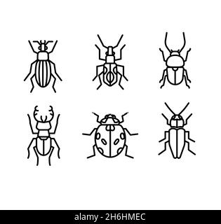 illustration of insects icons outline thin line Stock Vector