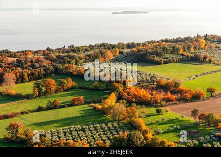 Gardens and olive groves on the shores of lake Garda in autumn season Stock Photo