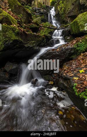 Autumn at Lumsdale Falls, set along the Lumsdale Valley and a short walk from Matlock in Derbyshire, on the edge of the Peak District National Park. Stock Photo