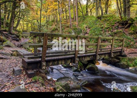 Wooden footbridge over Burbage Brook in the wonderful Padley Gorge near Grindleford, Peak District National Park, Derbyshire, England. Stock Photo