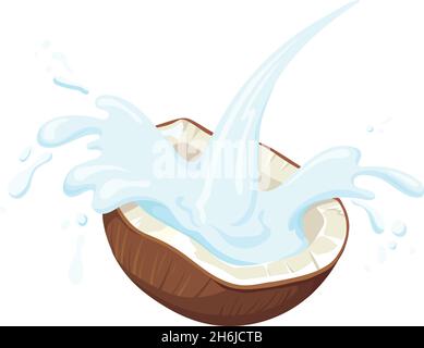 Half Coconut . Vector coco palm nut fruit with milk creamy splashes for fresh tropical drink yogurt or beauty cosmetic, cartoon design illustration isolated on white background Stock Vector