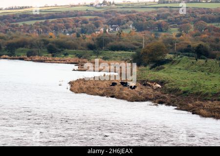 The Irish Border between Strabane(NI) and Lifford(RoI) which crosses the River Foyle. Stock Photo
