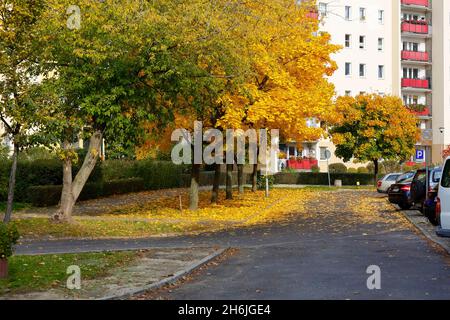 Warsaw, Poland - October 20, 2021: Trees in the Goclaw housing district in Warsaw change their colors from green to yellow and red in autumn. Stock Photo