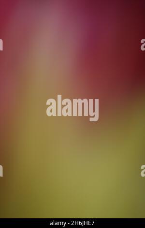 Abstract colorful background with bokeh Stock Photo