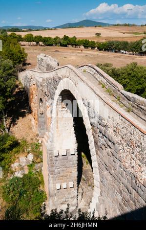 Roman Bridge of the Devil, Vulci, Province of Viterbo, Lazio, Maremma, Italy, Europe