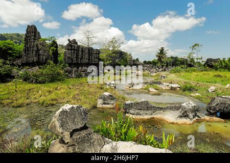 Typical eroded limestone outcrops and lake in karst region, Rammang-Rammang, Maros, South Sulawesi, Indonesia, Southeast Asia, Asia Stock Photo
