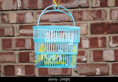A turquoise coloured peg holder with pegs hanging  on a washing line Stock Photo