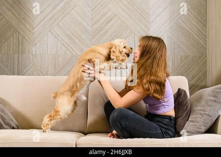 Teenager girl playing with spaniel while sitting on a sofa in the living room. Girl hugging with her dog while sitting on a couch. Stock Photo