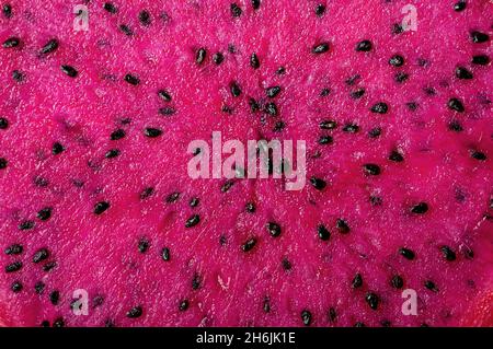 Background dragon fruit slice ripe wet pitahaya cut Stock Photo