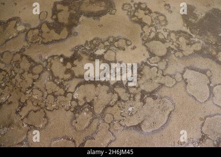 Stained concrete wall, background texture. Stock Photo