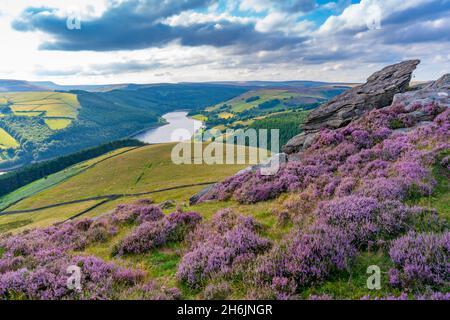 View of Ladybower Reservoir and flowering purple heather on Derwent Edge, Peak District National Park, Derbyshire, England, United Kingdom, Europe Stock Photo