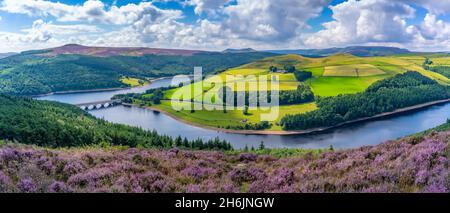 View of Ladybower Reservoir and flowering purple heather, Peak District National Park, Derbyshire, England, United Kingdom, Europe Stock Photo