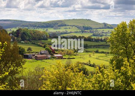 View from Shaftesbury over Cranborne Chase AONB (Area of Outstanding Natural Beauty) scenery to Melbury Beacon, Shaftesbury, Dorset, England Stock Photo