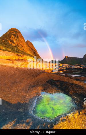 algae on a rock, Senja, Norway Stock Photo - Alamy