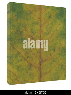 Yellow Green Leaf Pattern Binder Office School Supplies Stock Vector