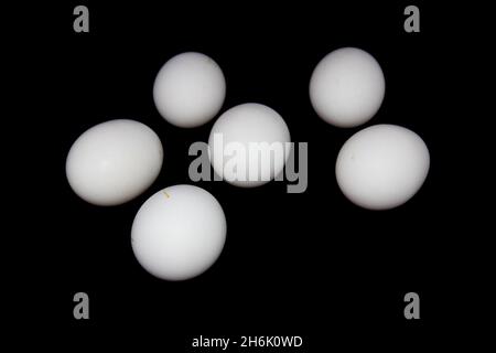 Eggs on black background with selective focus Stock Photo