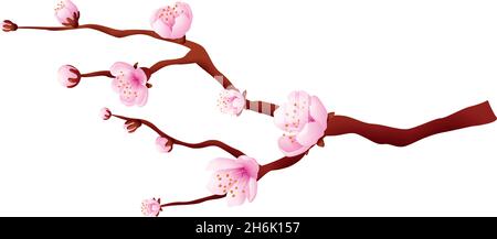 Pink bloosom tree. Sakura branch. Japanese cherry Stock Vector