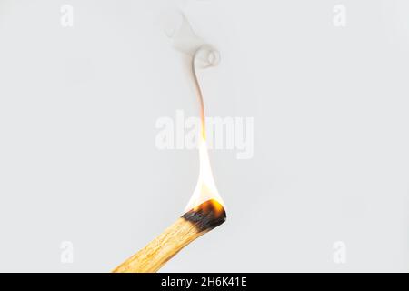 Palo Santo wood known as oily aromatic holy wood sticks smouldering on  plate in home living room cleansing negative energy concept. Bohemian style  Stock Photo - Alamy