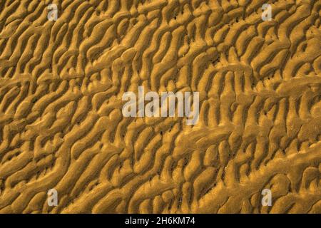Close up of sand ripples forming patterns in the sand Stock Photo