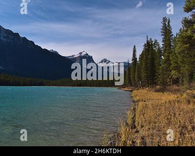 Stunning landscape with Waterfowl Lake in Banff National Park, Alberta, Canada in the Rocky Mountains in autumn season with yellow colored grass. Stock Photo