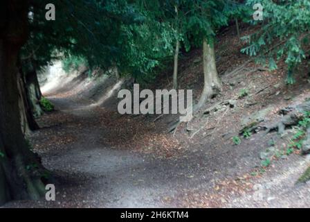 Ruin on a steep slope, near Calhau das Achadas, Madeira, Portugal Stock  Photo - Alamy