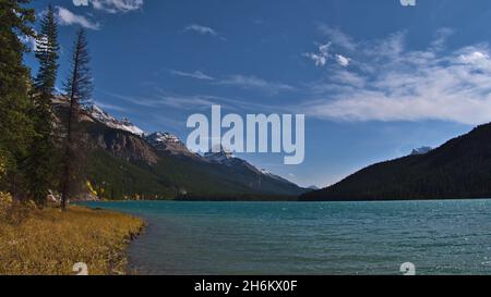 Beautiful view of Waterfowl Lake in Banff National Park, Alberta, Canada with turquoise shimmering water, yellow grass and snow-capped Rocky Mountains. Stock Photo