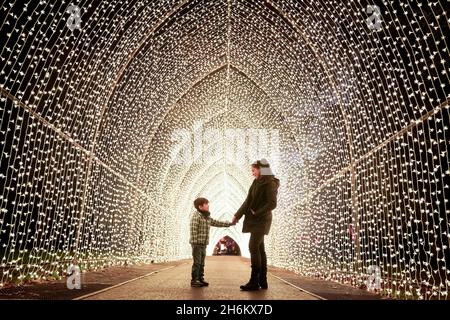 London, UK. 16th Nov 2021. Christmas at Kew winter lights trail. Now in it’s ninth year, Christmas at Kew sees immersive lighting trails, installations and interactive multi-sensory illumination bring the garden landscape to life after dark. Credit: Guy Corbishley/Alamy Live News Stock Photo