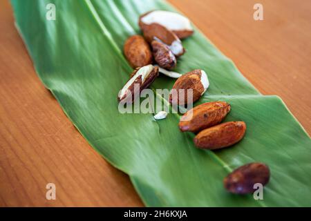 Fresh ngali nuts (galip nuts) from the Solomon Islands. Stock Photo