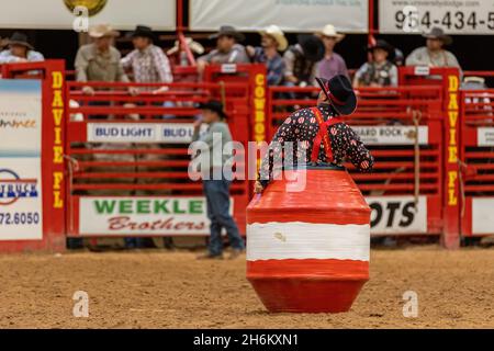 Davie, USA. 12th Nov, 2021. Bull Riding seen on Southeastern Circuit Finals Rodeo in Davie, FL from Nov. 11-13, 2021 during the event. (Photo by Yaroslav Sabitov/YES Market Media/Sipa USA) Credit: Sipa USA/Alamy Live News Stock Photo