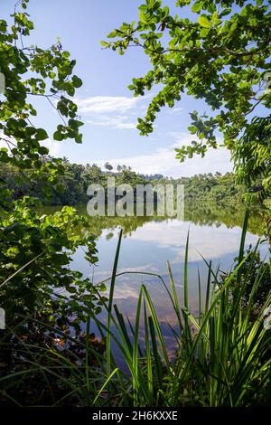 Crocodile Lake on Tetepare Island in Western Province of the Solomon Islands. Stock Photo