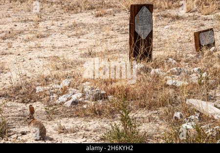 Tonopah, Nevada, US - May 16, 2011: Historic Cemetery. Rabbit and redwood tombstone for George Wilson on dry beige-brown desert floor. Stock Photo
