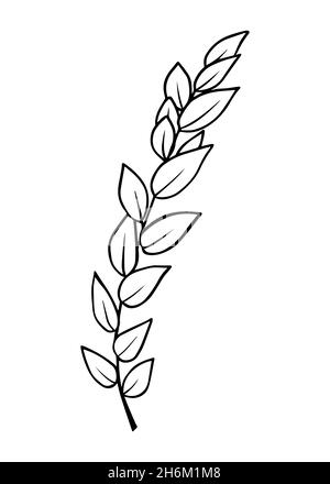 tree branch hand drawing isolated icon Stock Vector Image & Art - Alamy