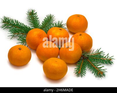 Christmas composition. Pattern made of pine branches and mandarins on light background. Stock Photo