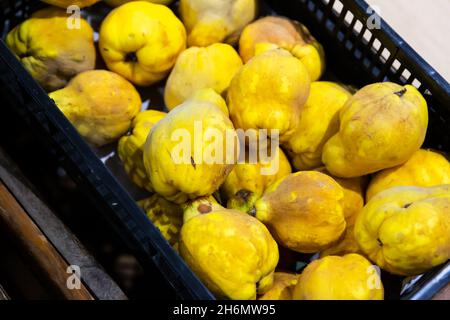 Picture of fresh aiva on counter in food market Stock Photo