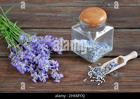 Bouquet of fresh lavender near to dry lavender in a glass jar on a wooden table. Stock Photo