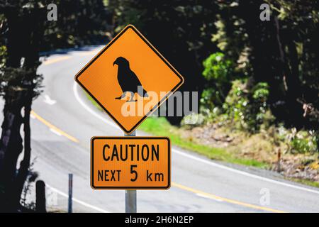 Kea Infromation Sign Kea Road Sign Caution Stock Photo - Alamy