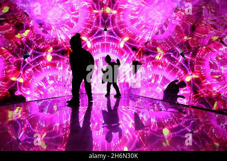 Cary, North Carolina, USA. 16th Nov, 2021. 5-year-old WILL PHAM, l, and brother 3-year-old GREG PHAM of Cary, NC play inside a giant kaleidoscope, part of the sneak preview of the fifth North Carolina Chinese Lantern Festival at the Koka Booth Amphitheatre in Cary, NC. Most of the lanterns at the festival are hand-made in China's lantern capital, the city of Zigong in Sichuan Province. Once they arrive in Cary, it takes three weeks to build the festival from the ground up. Chinese lanterns go back thousands of years and are thought to represent good fortune and prosperity. (Credit Image Stock Photo