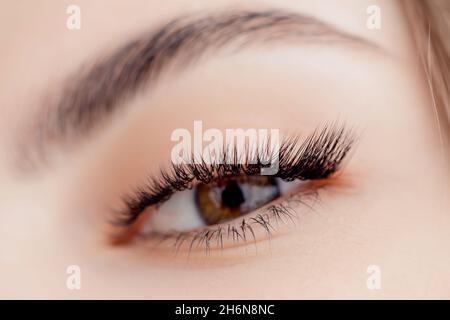 Fashion Portrait arabic young woman with long lash after Eyelash extension procedure in beauty salon. Stock Photo