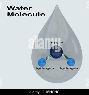 3D illustration of Water Molecule title above the geometrical structure ...