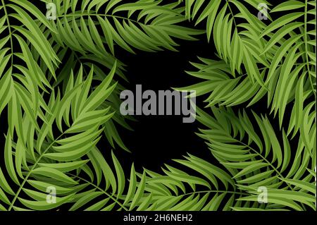green leaf of palm tree on white background Stock Vector