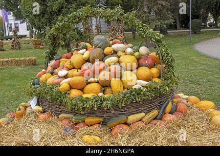 A bunch assorted gourds, zucchini, pumpkin and winter squash Stock Photo