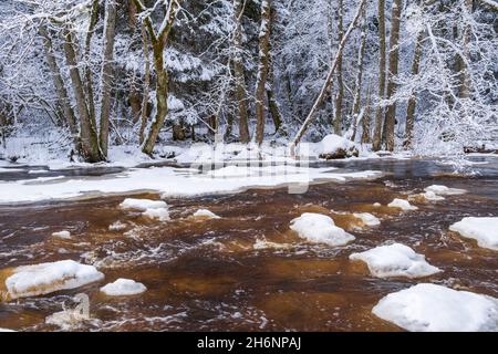 Beautiful winter forest by a flowing river Stock Photo