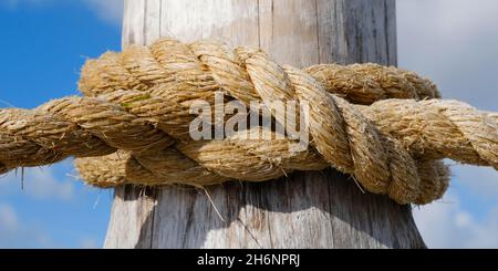 thick rope tied around a wooden stake in the forest Stock Photo