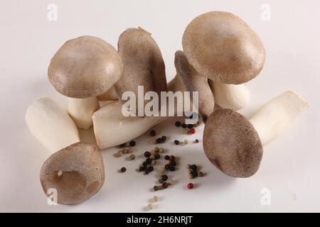 King trumpet mushrooms (Pleurotus eryngii) and peppercorns Stock Photo