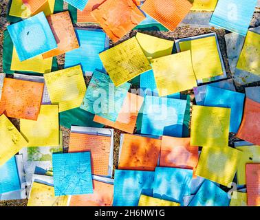 Colorful clean sponge cloths background, microfiber household disposable dust cleaning rags. Stock Photo