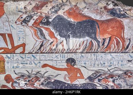 Ancient Egyptian wall art tomb paintings, Tomb of Nebamun Thebes, Circa 1350BC, 18th Dynasty. British Museum EA37976.   Painting from the tomb chapel Stock Photo