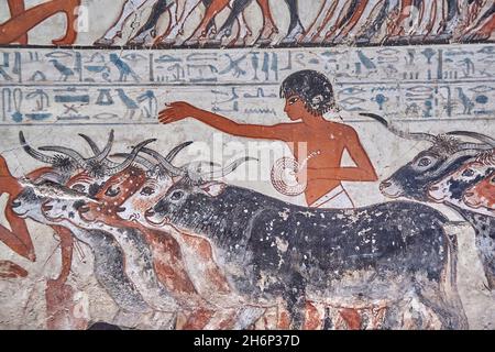 Ancient Egyptian wall art tomb paintings, Tomb of Nebamun Thebes, Circa 1350BC, 18th Dynasty. British Museum EA37976.   Painting from the tomb chapel Stock Photo