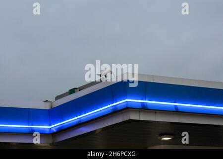 Blau beleuchtetes Dach mit einer Überwachungskamera einer ARAL Tankstelle bei Nacht.
