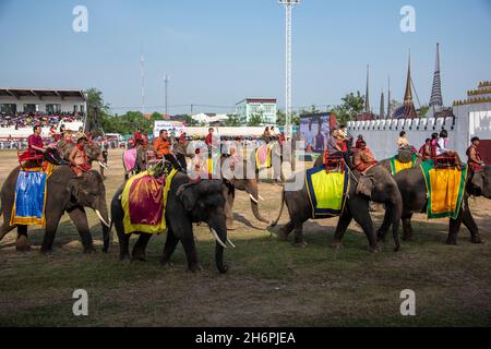 Surin, Thailand Nov 18, 2018 : Parade on Elephant's Back Festival is when elephants parade during The Annual Elephant Roundup on November 18, 2018 in Stock Photo